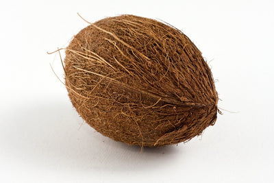 Coconut - ExoticEstore