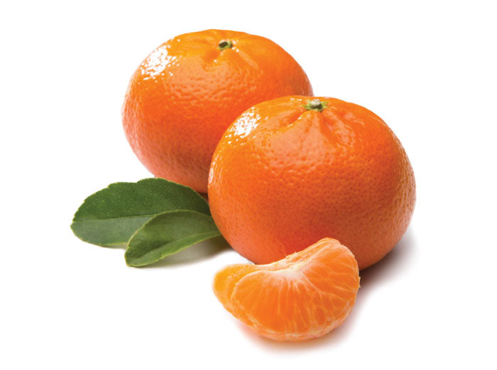 Orange Nadorcott x 5