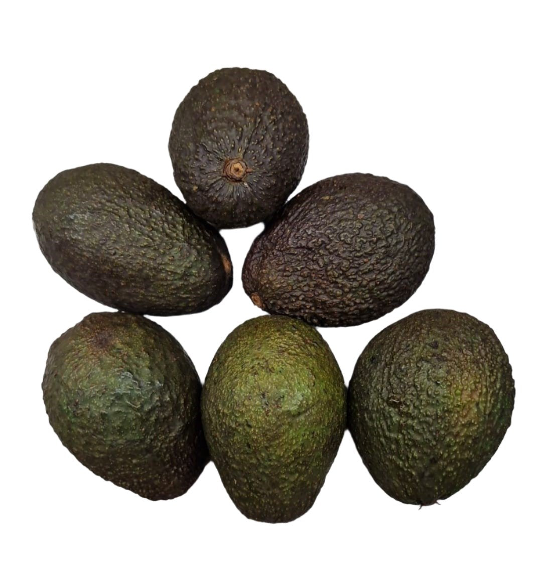Avocado Class 2 6Pcs Approx 1Kg
