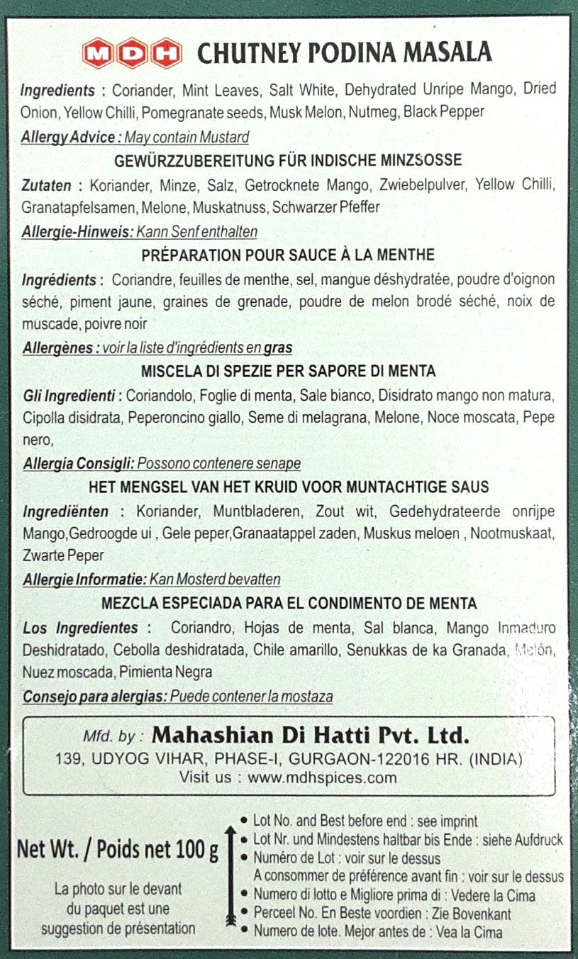 MDH Chutney Podina Masala 100g