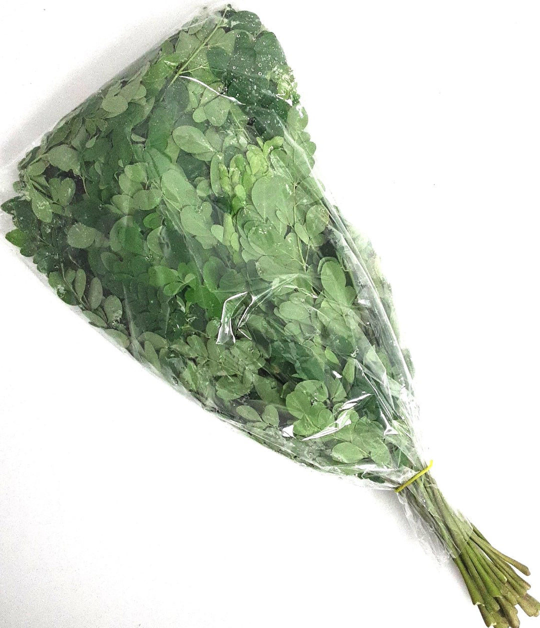 Drumstick Leaves Bunch 200g Approx