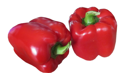 Capsicum Red - ExoticEstore