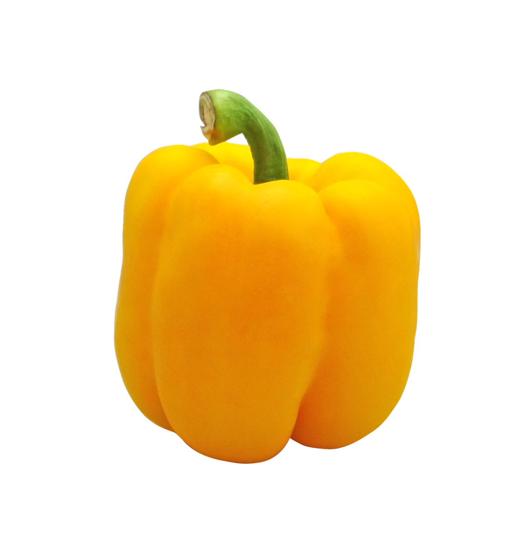 Capsicum Yellow - ExoticEstore