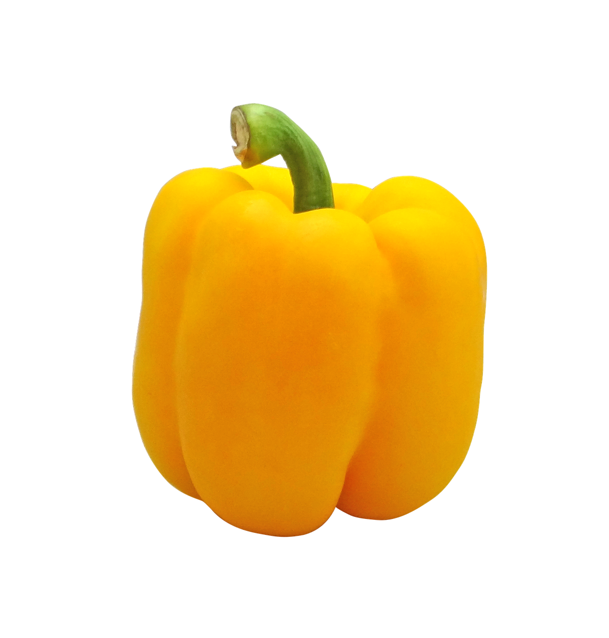 Capsicum Yellow - ExoticEstore