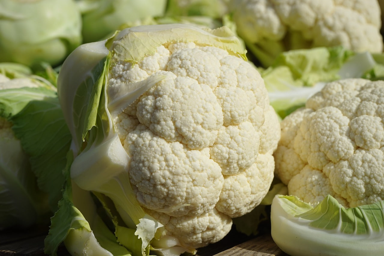 Cauliflower - ExoticEstore