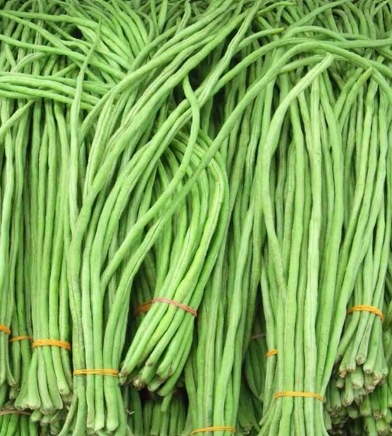 Beans Long Chora Bunch 600g Approx