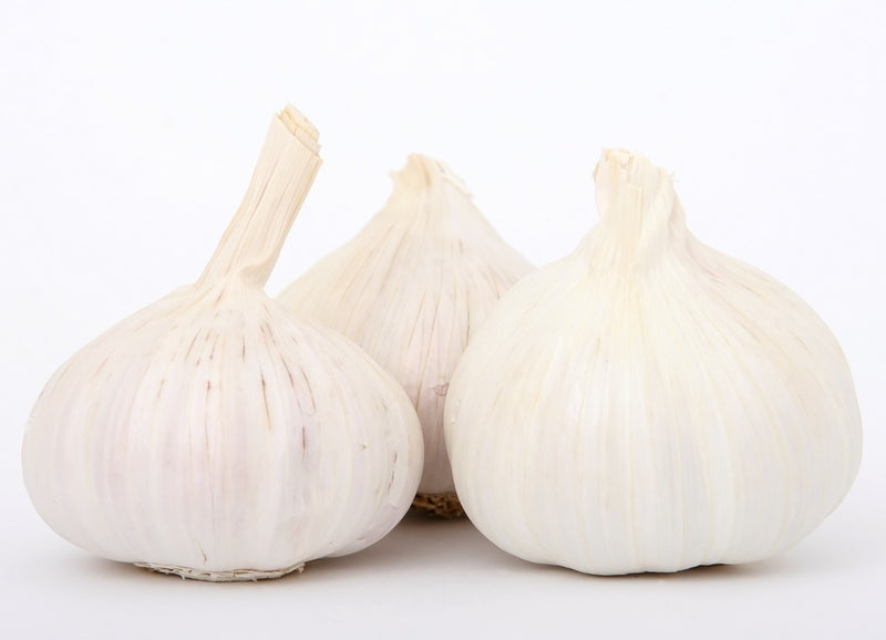 Garlic Pre Pack - 350g - ExoticEstore