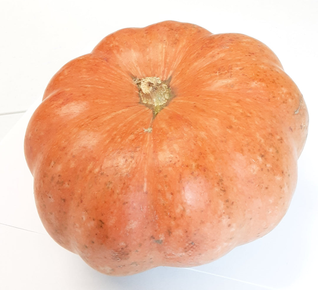 Pumpkin Baby Kaddu Approx 850G