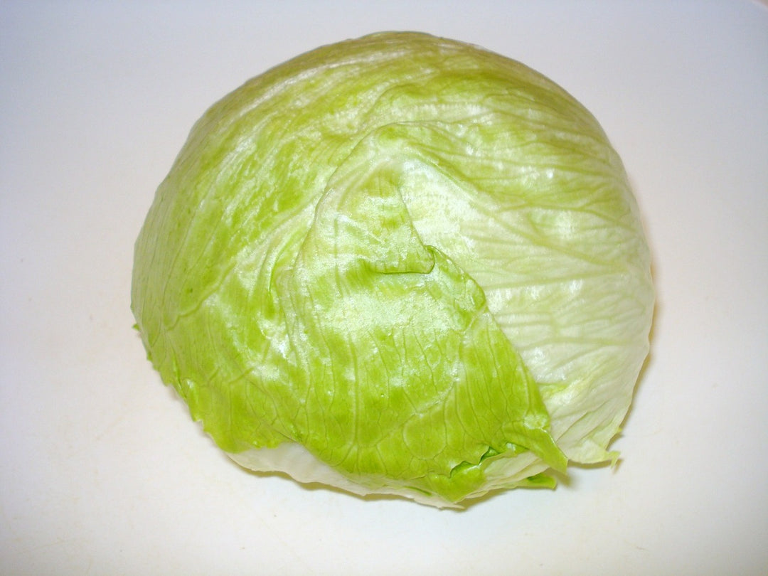Lettuce Iceberg - ExoticEstore