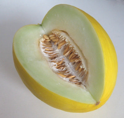 Melon Honeydew - ExoticEstore