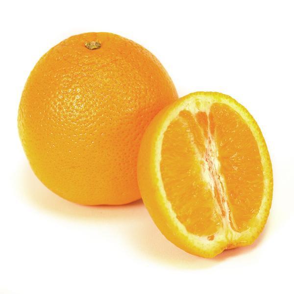 Orange - Large x 2 - ExoticEstore