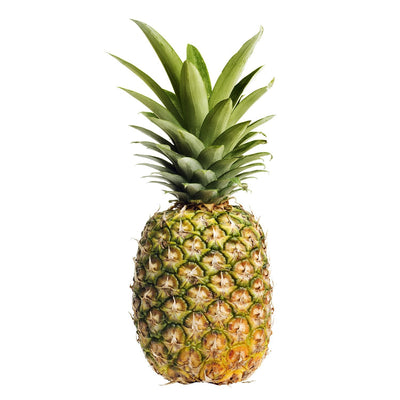 Pineapple - ExoticEstore