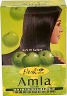 Hesh Amla Powder 100g - ExoticEstore
