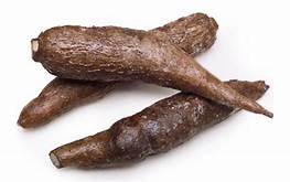 Cassava 1pc Approx 600g - ExoticEstore
