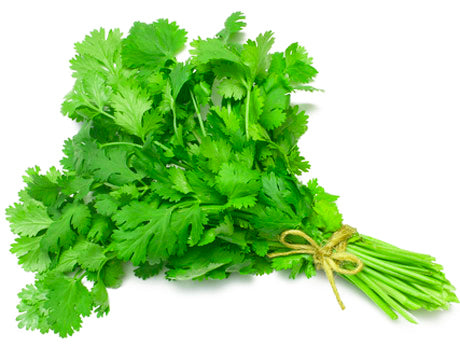 Coriander Bunch - ExoticEstore