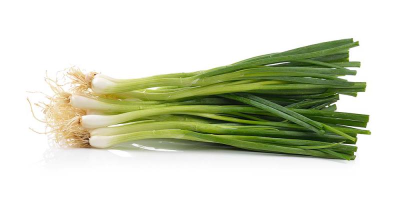 Spring Onion 1pc - ExoticEstore
