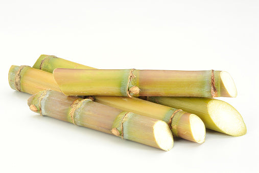 Sugarcane Stick Fresh x 1 Approx 300G