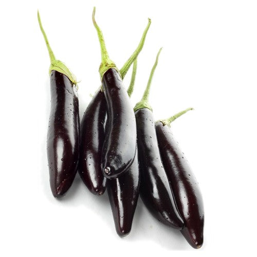 Long Ravayya Aubergine Long Ravaiya 350g – ExoticEstore