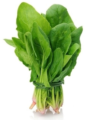 Spinach Bunch - ExoticEstore