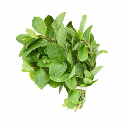 Mint Bunch - ExoticEstore
