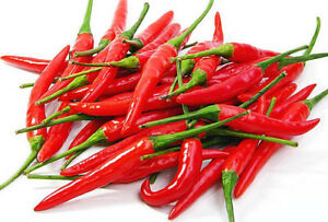 Chilli Thai Red 100g - ExoticEstore