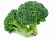 Broccoli 1pc - ExoticEstore