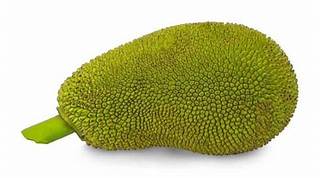 Jack Fruit Raw 1kg