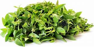 Green Ponnanganni leaves Bunch