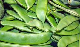 Avaraikai Broad Beans 350g