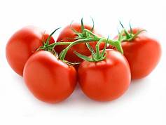 Tomato Vine 1KG - ExoticEstore